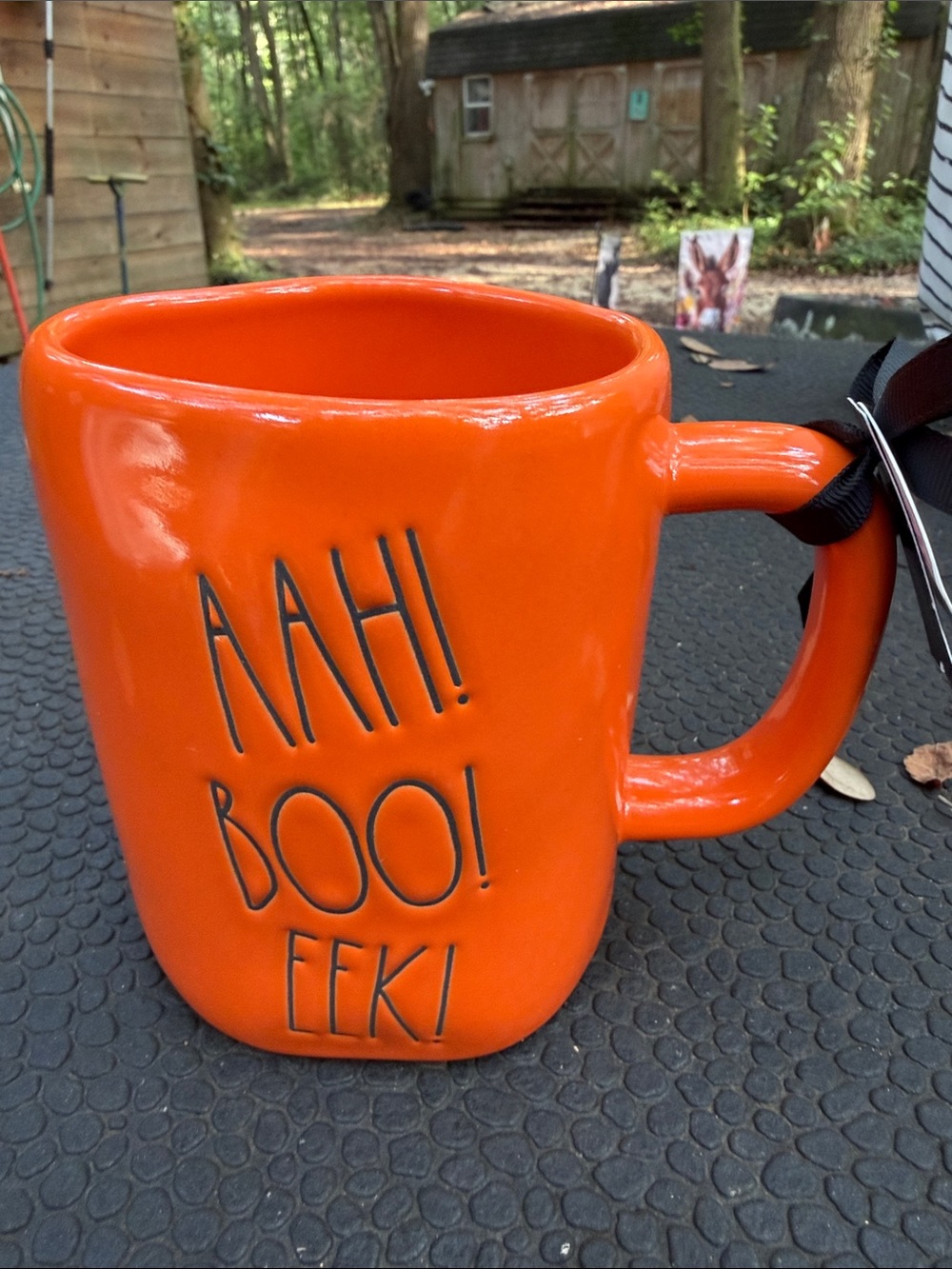 Rae Dunn Orange Halloween Mug with 'AAH! BOO! EEK!' New